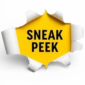 PREVIEW H BIRKIN 35 FRINGE SWIFT PINK HSS LIMITED EDITION CIRCUS ROSE TOGO PHW